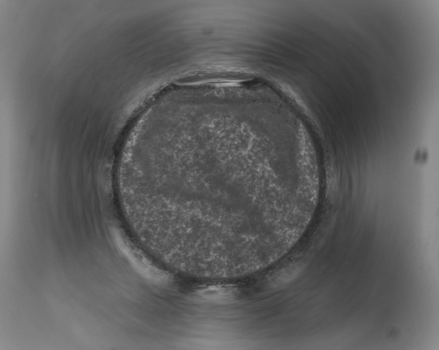 X0000112800447200909181540