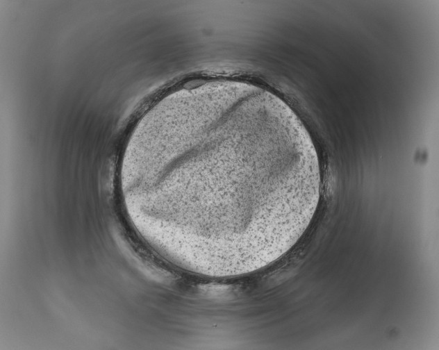 X0000112800448200909181540