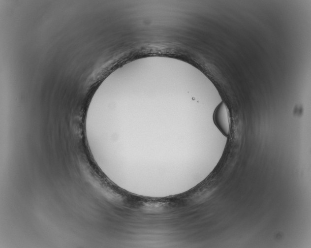 X0000112800450200909181540