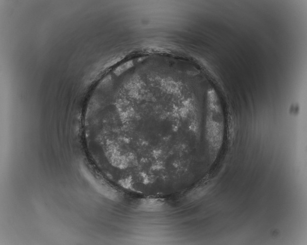 X0000112800451200909181540