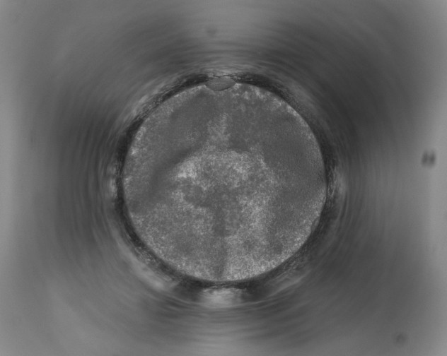 X0000112800452200909181540