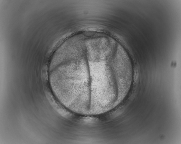 X0000112800453200909181540