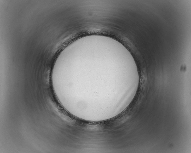 X0000112800454200909181540