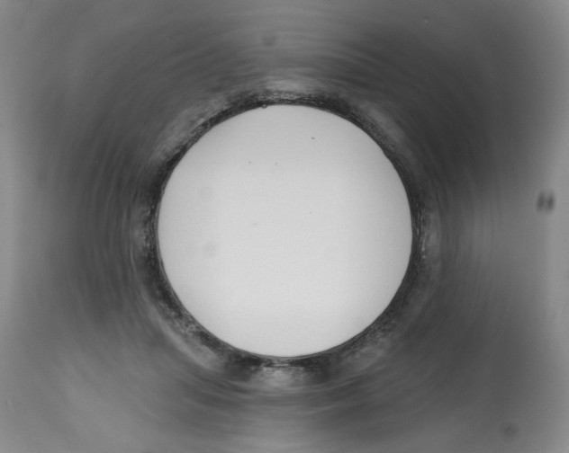 X0000112800455200909181540