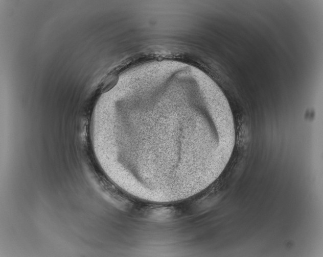 X0000112800456200909181540