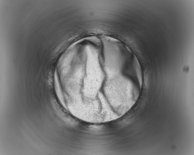 X0000112800457200909181540