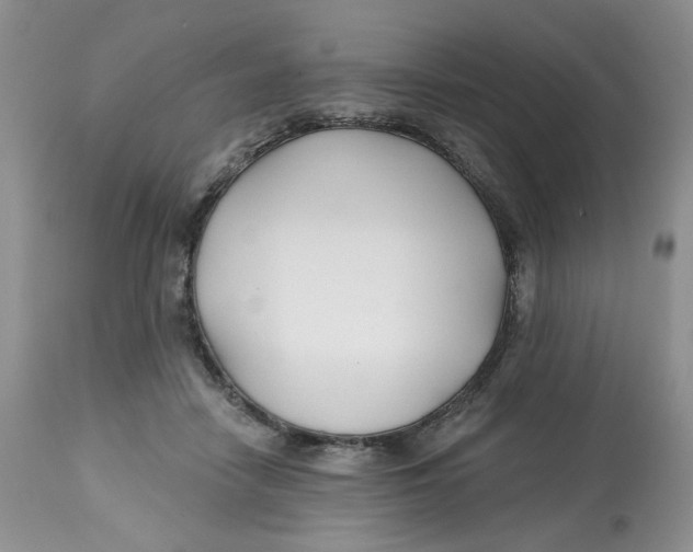 X0000112800458200909181540