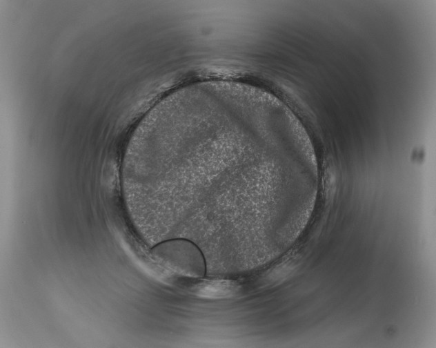 X0000112800459200909181540