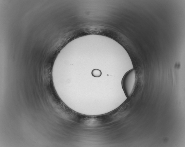 X0000112800460200909181540