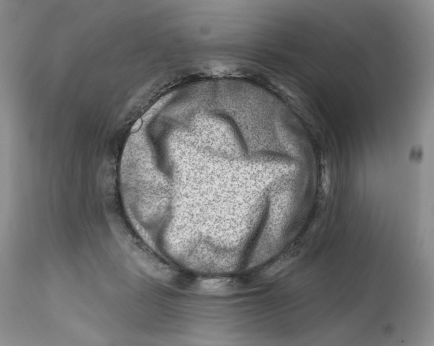 X0000112800461200909181540