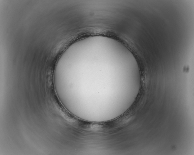 X0000112800462200909181540