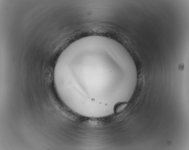 X0000112800464200909181540