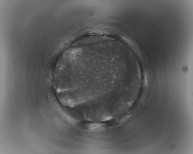 X0000112800465200909181540