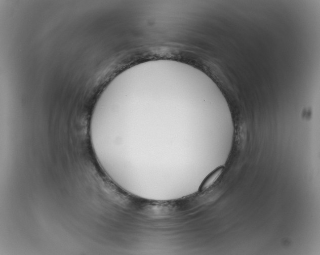 X0000112800466200909181540
