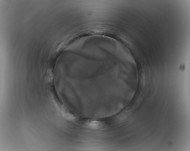X0000112800467200909181540