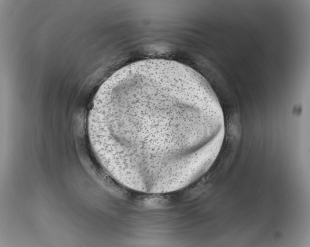 X0000112800468200909181540