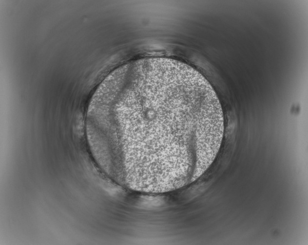 X0000112800469200909181540