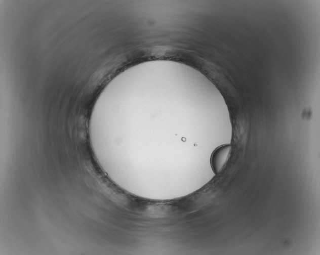X0000112800470200909181540