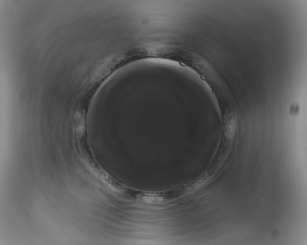 X0000112800471200909181540
