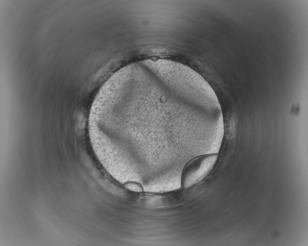 X0000112800472200909181541