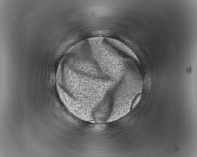 X0000112800474200909181541