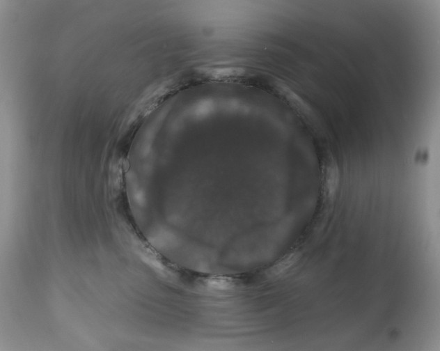 X0000112800475200909181541