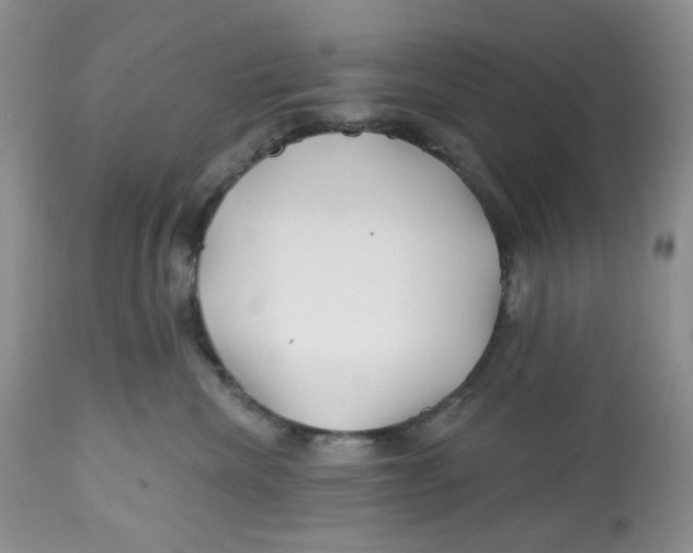 X0000112800476200909181541