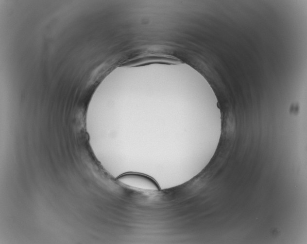X0000112800478200909181541