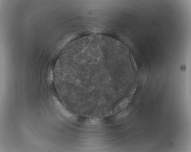 X0000112800479200909181541