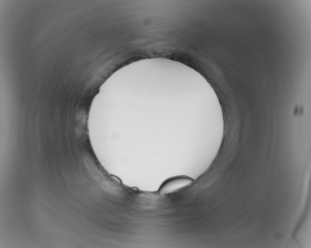 X0000112800480200909181541