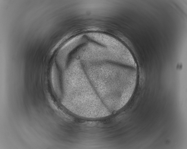 X0000112800482200909181540