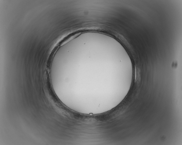 X0000112800483200909181540