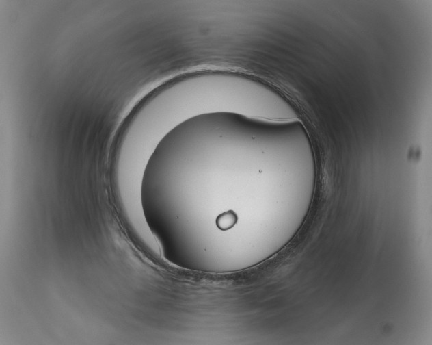 X0000112800484200909181540