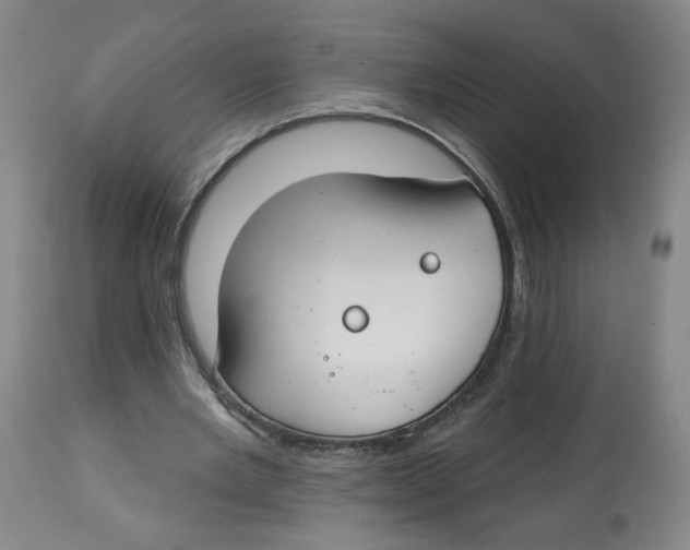 X0000112800485200909181540