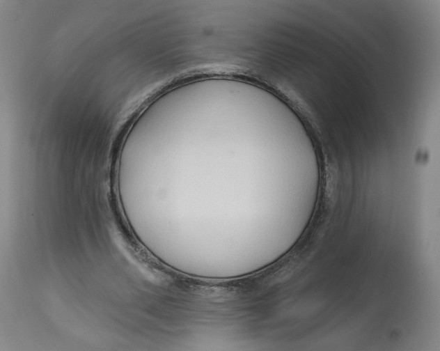 X0000112800486200909181540