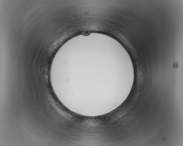 X0000112800489200909181540