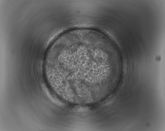 X0000112800491200909181540
