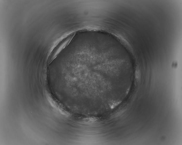 X0000112800492200909181540
