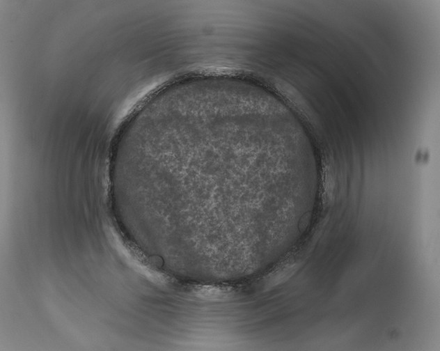 X0000112800494200909181540