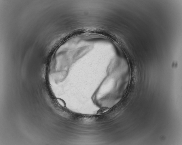 X0000112800495200909181540