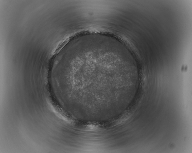 X0000112800496200909181540