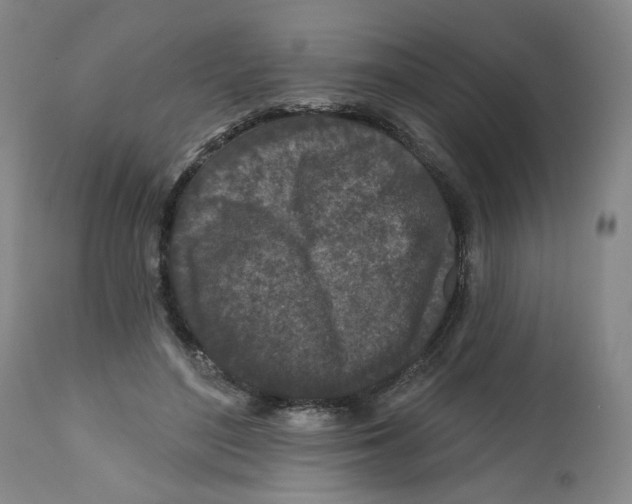 X0000112800500200909181540