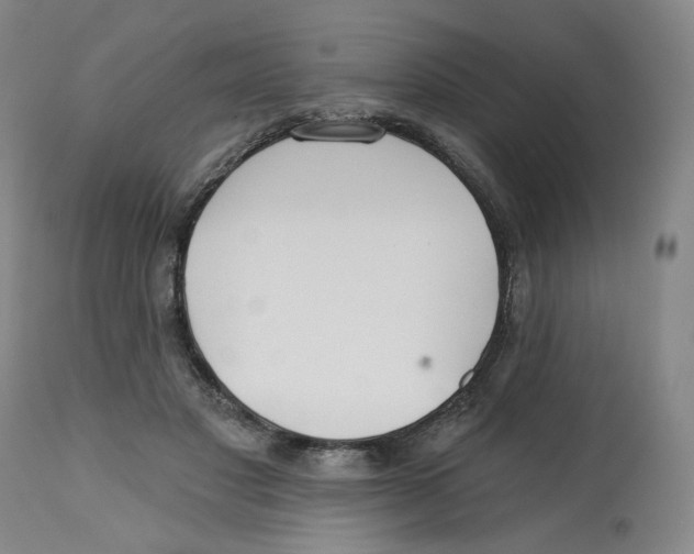 X0000112800501200909181540