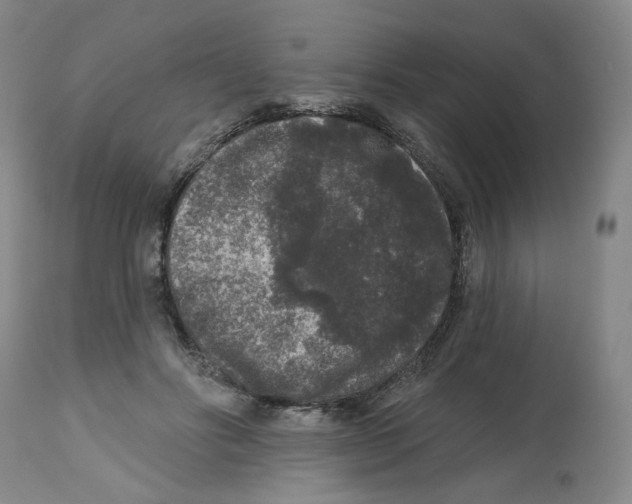 X0000112800502200909181540