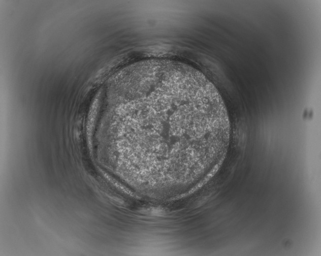 X0000112800503200909181540