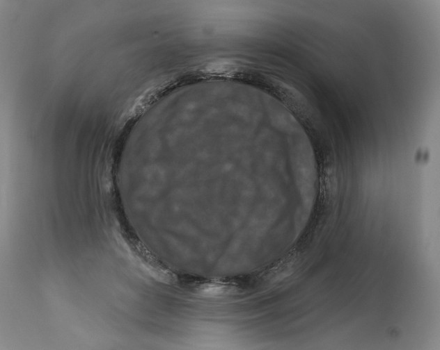 X0000112800504200909181540