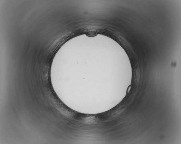 X0000112800505200909181540