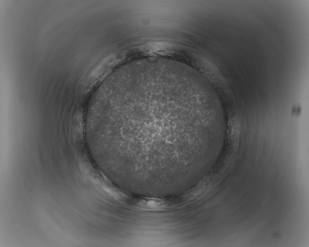 X0000112800506200909181540
