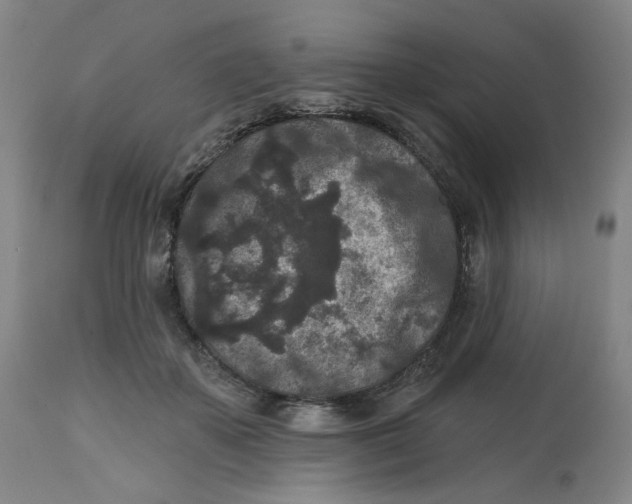 X0000112800507200909181540