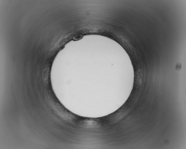 X0000112800509200909181540